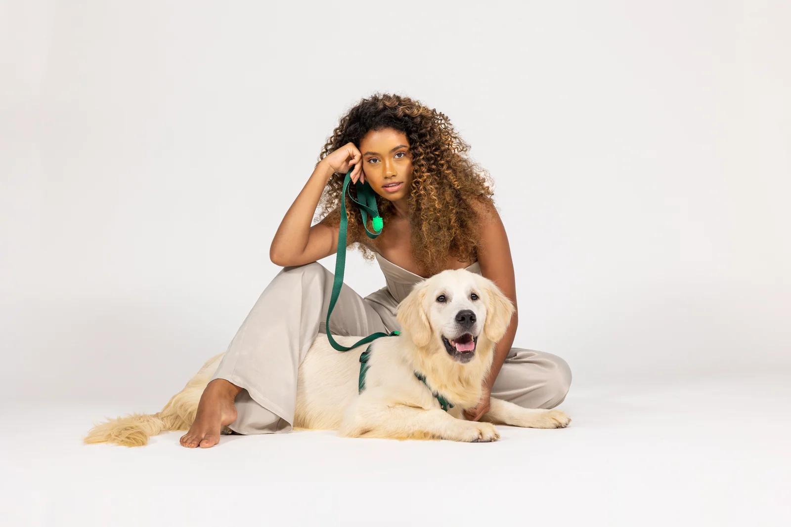 Lindo ile Golden Retriever ve arkadaşı